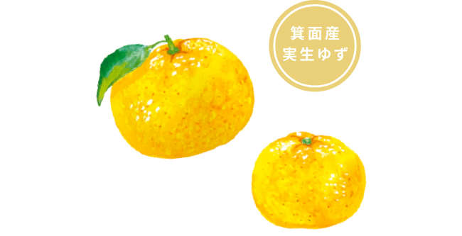 箕面産実生ゆず