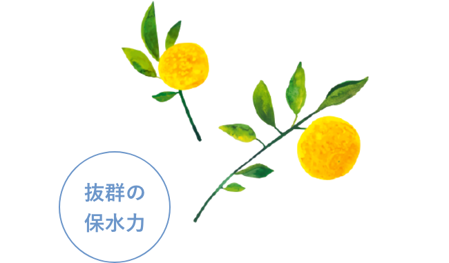 抜群の保水力