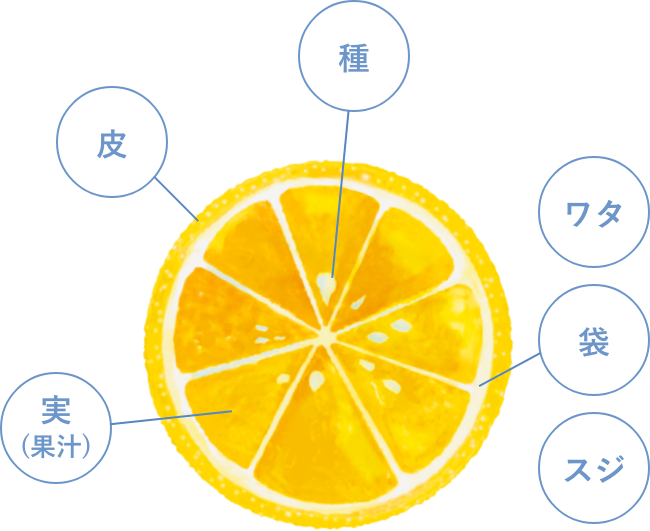 成分