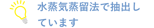 水蒸気蒸留法で抽出しています