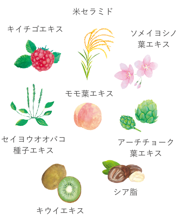 保湿成分