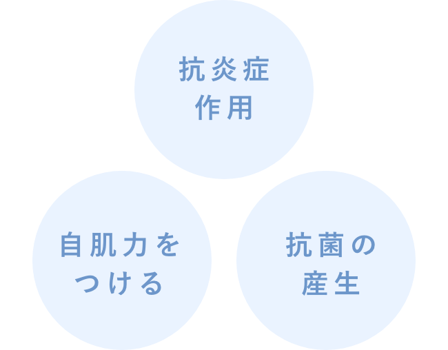 抗炎症作用・自肌力をつける・抗菌の産生